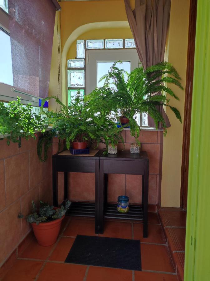 Appartamento Naturalmente Torrox Park *